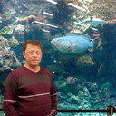  ,   Oleg, 60 ,   ,   , c 