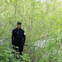 ���������� ������, ���� ������� ����, 38 ���, ������������ ��� ������, ����� � ���������, c�������� ���������