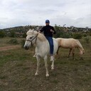 ���������� �����������, ���� ������� ����, 28 ���, ������������ ��� ������, ����� � ���������