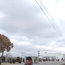 ���������� ������, ���� ������� �����, 41 ���, ������������ ��� ������, ����� � ���������, c�������� ���������