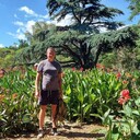 ���������� ������, ���� ������� �����, 40 ���, ������������ ��� ������, ����� � ���������, c�������� ���������