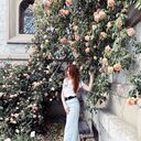 ���������� �����������, ���� ������� �����, 32 ����, ������������ ��� c�������� ���������