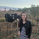 ���������� ������, ���� ������� ���������, 39 ���, ������������ ��� ������, ����� � ���������