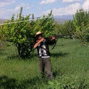  ,   ANDO, 34 ,   ,   , c 