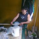  -,   , 37 ,   ,   , c , 