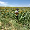 ���������� �����, ���� ������� �������, 40 ���, ������������ ��� ������, ����� � ���������