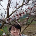 ���������� ������, ���� ������� �����, 52 ����, ������������ ��� c�������� ���������