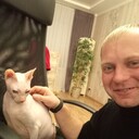 ���������� ���������, ���� ������� ������ ����, 36 ���, ������������ ��� ������, ����� � ���������