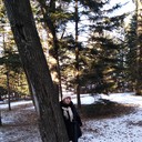 ���������� �����������, ���� ������� �����, 65 ���, ������������ 