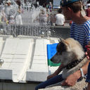  ,   , 34 ,   ,   , c , 