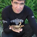 ���������� ����, ���� ������� �����, 45 ���, ������������ ��� ������, ����� � ���������