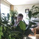 ���������� �����������, ���� ������� �����, 56 ���, ������������ ��� c�������� ���������