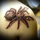 ���������� �������, ���� ������� �����, 37 ���, ������������ ��� ������, ����� � ���������, c�������� ���������, ���������