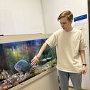 ���������� ������, ���� ����� �������, 20 ���, ������������ ��� ������, ����� � ���������