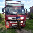 ���������� ������-��-����, ���� ������� ����, 62 ����, ������������ ��� c�������� ���������