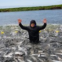 ���������� �������������-����������, ���� ������� ������, 43 ����, ������������ ��� ������, ����� � ���������, c�������� ���������