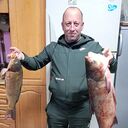 ���������� ����������, ���� ������� �������, 39 ���, ������������ ��� ����� � ���������, c�������� ���������