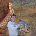 ���������� ����������, ���� ������� ������, 37 ���, ������������ ��� ������, ����� � ���������, c�������� ���������, ���������