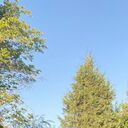 ���������� �������, ���� ����� ���, 25 ���, ������������ ��� ������, ����� � ���������