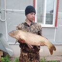 ���������� �������, ���� ������� ������, 43 ����, ������������ ��� ������, ����� � ���������, c�������� ���������