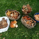 ���������� �����, ���� ������� ������, 39 ���, ������������ ��� ������, ����� � ���������, c�������� ���������