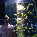 ���������� �����-���������, ���� ������� ����, 42 ����, ������������ ��� ������, ����� � ���������, c�������� ���������