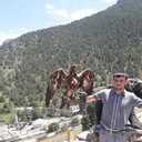  ,   BEK, 31 ,   ,   