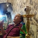 ���������� ���������, ���� ������� ����, 29 ���, ������������ ��� ����� � ���������, c�������� ���������