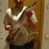  ,   ALEKS, 62 ,   