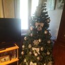  Trivero,   Andrew, 44 ,   ,   , 