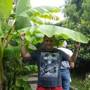 ���������� �����, ���� ������� �������, 39 ���, ������������ ��� ������, ����� � ���������, c�������� ���������