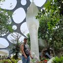 ���������� ������, ���� ������� Maxim, 36 ���, ������������ ��� ������, ����� � ���������