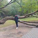  ,   , 51 ,   ,   