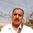  ,   Alsyd, 49 ,   ,   