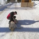 ���������� �����, ���� ������� �������, 40 ���, ������������ ��� ������, ����� � ���������, c�������� ���������