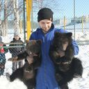  ,   , 38 ,   ,   , c , 