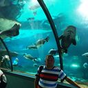 ���������� �������, ���� ������� ������, 38 ���, ������������ ��� ������, ����� � ���������