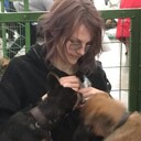 ���������� �����-���������, ���� ������� ����, 27 ���, ������������ 