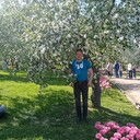  ,     , 43 ,   ,   , c 