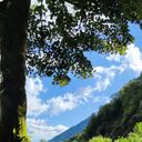 ���������� ���������, ���� ������� ����, 38 ���, ������������ ��� ����� � ���������, c�������� ���������