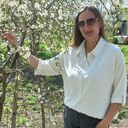 ���������� ������, ���� ������� �����, 39 ���, ������������ ��� ���������