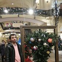 ���������� �����-���������, ���� ������� �����, 31 ���, ������������ ��� ������, ����� � ���������, c�������� ���������