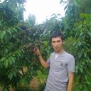 ���������� �������, ���� ������� ��������, 35 ���, ������������ 