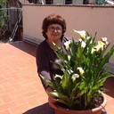  Alba Iulia,   Lena, 62 ,   ,   , c 