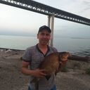 ���������� ���������, ���� ������� ANATOLY, 36 ���, ������������ ��� ������, ����� � ���������, ���������