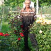  ,   , 65 ,   ,   , c 