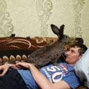 ���������� �������, ���� ������� �������, 39 ���, ������������ ��� ������, ����� � ���������, c�������� ���������