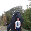  ,   , 43 ,   