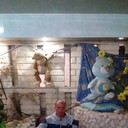  ,   , 41 ,   ,   , c 