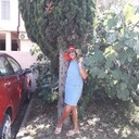  ,   , 62 ,     , 